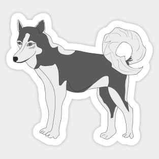 Husky Sticker